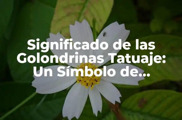 Significado de las Golondrinas Tatuaje: un Símbolo de Esperanza y Libertad