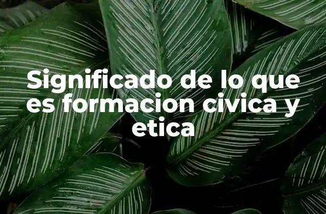 Significado de Lo que es Formacion Civica y Etica
