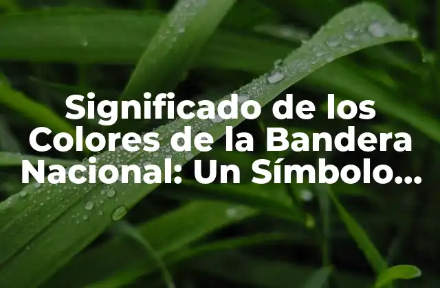 Significado de los Colores de la Bandera Nacional: un Símbolo de Identidad