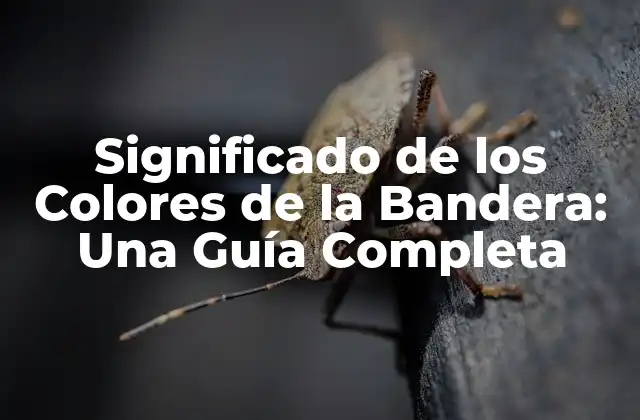 Significado de los Colores de la Bandera: una Guía Completa