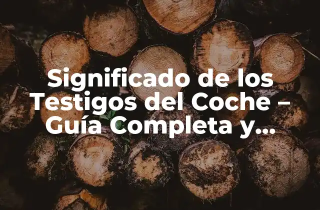 Significado de los Testigos Del Coche – Guía Completa y Detallada