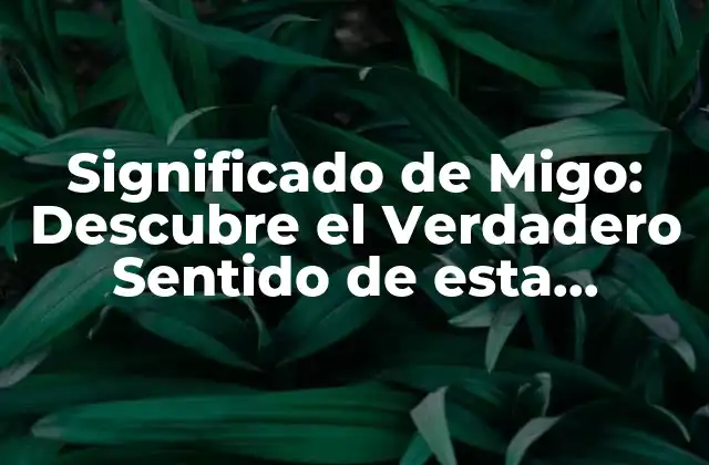 Significado de Migo: Descubre el Verdadero Sentido de Esta Palabra