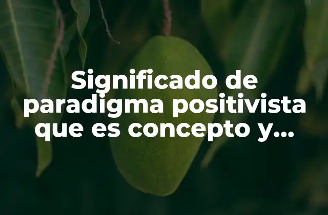 Significado de Paradigma Positivista que es Concepto y Definicion