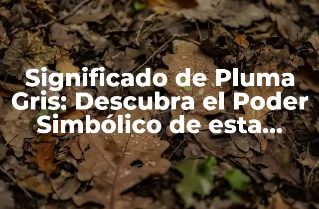 Significado de Pluma Gris: Descubra el Poder Simbólico de Esta Hermosa Pluma