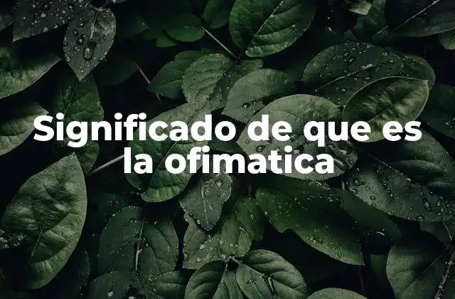 Significado de que es la Ofimatica