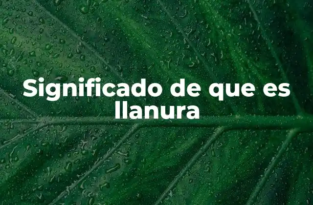 Significado de que es Llanura 2 Tipos de llanuras y sus características