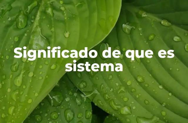 Significado de que es Sistema