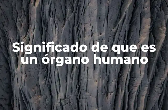 Significado de que es un Órgano Humano