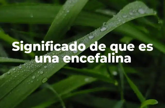 Significado de que es una Encefalina