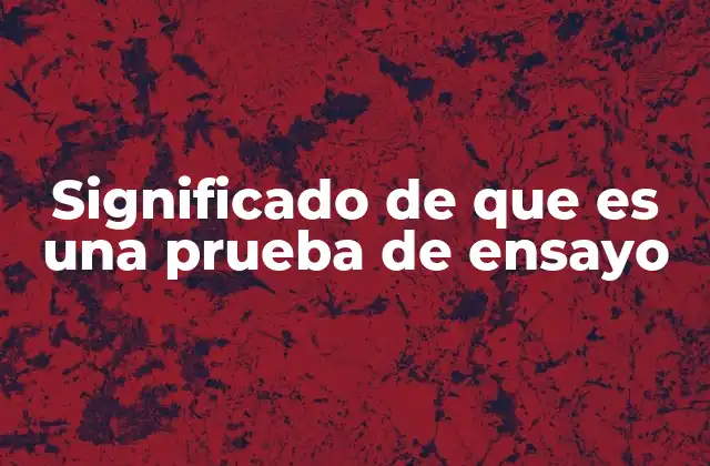 Significado de que es una Prueba de Ensayo 2 La importancia de las pruebas de ensayo en la formación académica