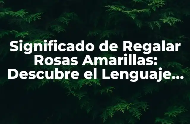 Significado de Regalar Rosas Amarillas: Descubre el Lenguaje de las Flores