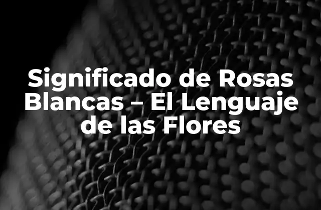 Orígenes y Historia de las Rosas Blancas