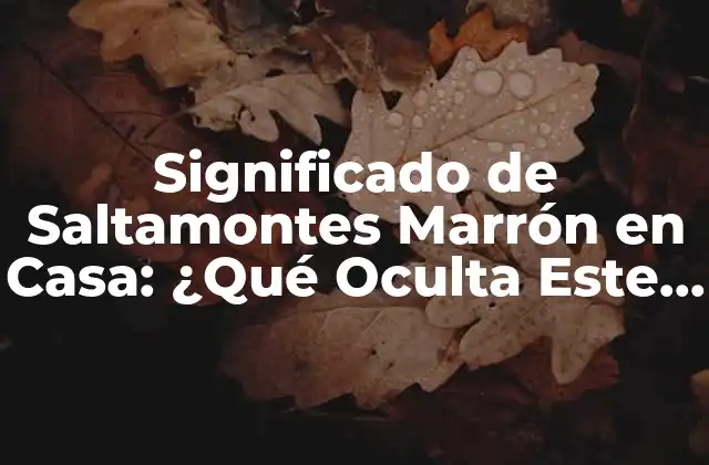 Significado de Saltamontes Marrón en Casa: ¿qué Oculta Este Insecto?