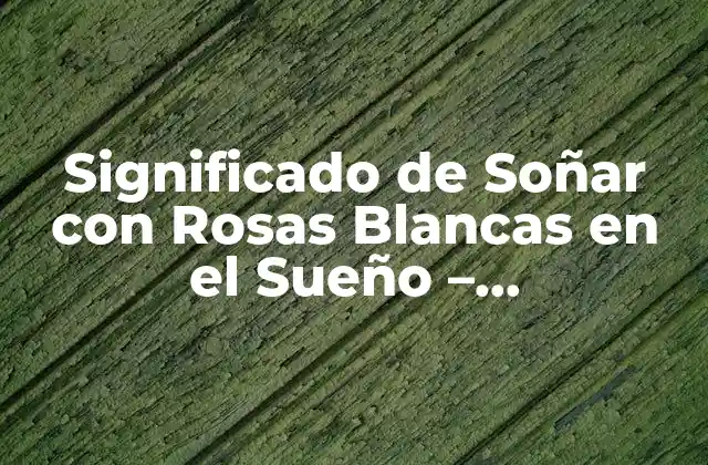 Significado de Soñar con Rosas Blancas en el Sueño – Interpretación y Simbolismo
