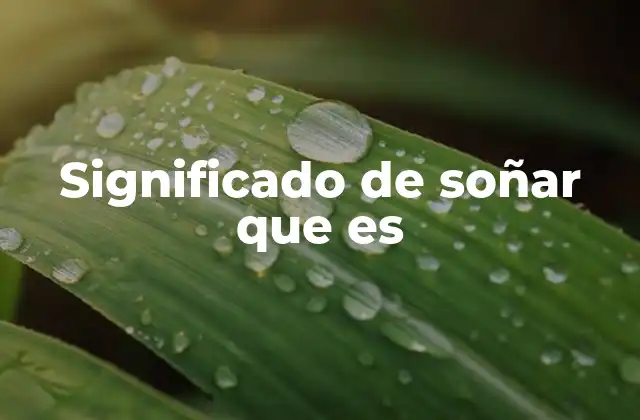 Significado de Soñar que es