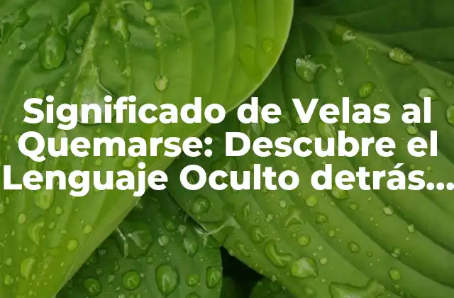Significado de Velas Al Quemarse: Descubre el Lenguaje Oculto Detrás de las Llamas