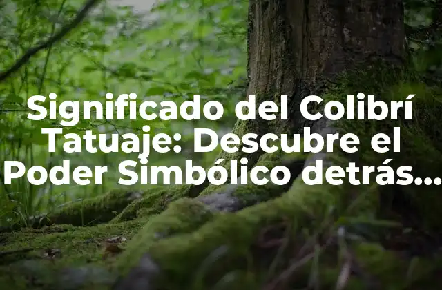 Significado Del Colibrí Tatuaje: Descubre el Poder Simbólico Detrás de Este Diseño