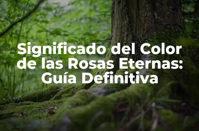 Significado Del Color de las Rosas Eternas: Guía Definitiva
