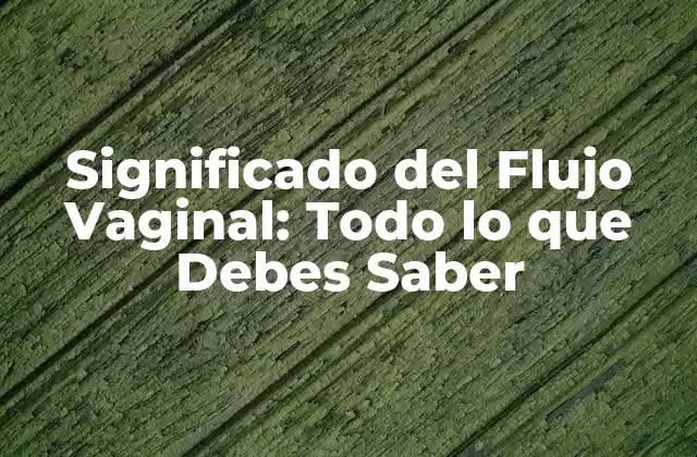 Significado Del Flujo Vaginal: Todo Lo que Debes Saber