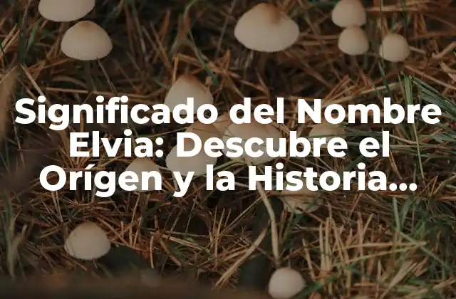 Significado Del Nombre Elvia: Descubre el Orígen y la Historia Detrás de Este Nombre Único