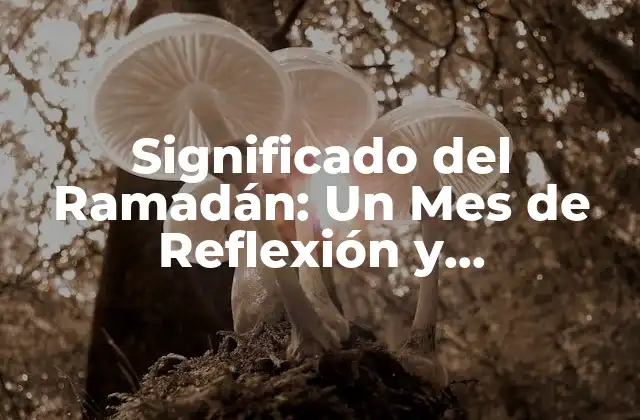 Significado Del Ramadán: un Mes de Reflexión y Espiritualidad