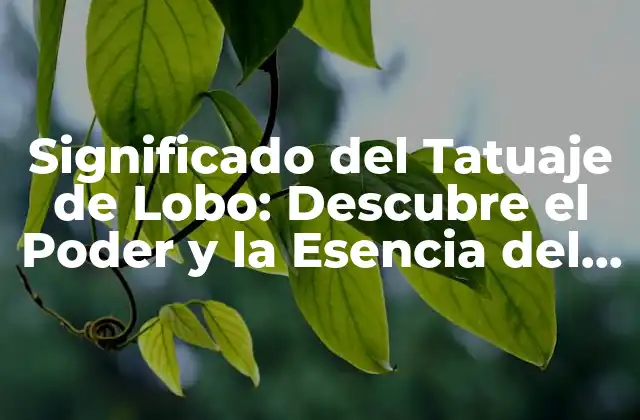 Significado Del Tatuaje de Lobo: Descubre el Poder y la Esencia Del Lobo