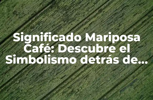 Significado Mariposa Café: Descubre el Simbolismo Detrás de Este Tendencia