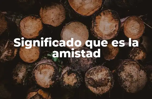 Significado que es la Amistad