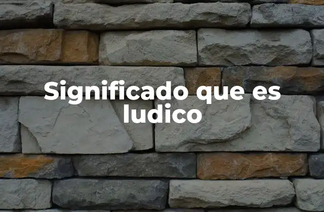 Significado que es Ludico