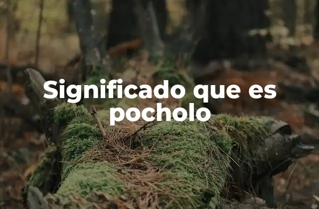 Significado que es Pocholo