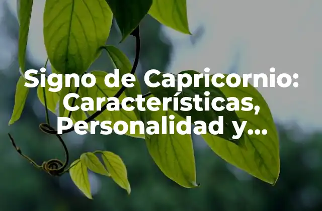 Signo de Capricornio: Características, Personalidad y Compatibilidad 2 Características del Signo de Capricornio