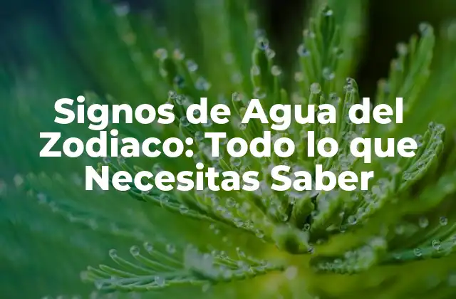 Signos de Agua Del Zodiaco: Todo Lo que Necesitas Saber