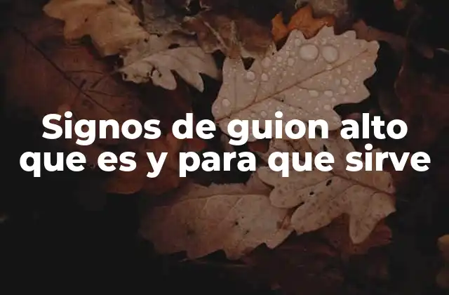 Signos de Guion Alto que es y para que Sirve