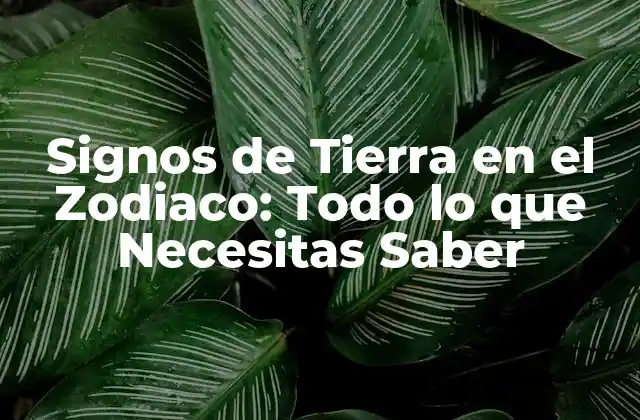 Signos de Tierra en el Zodiaco: Todo Lo que Necesitas Saber