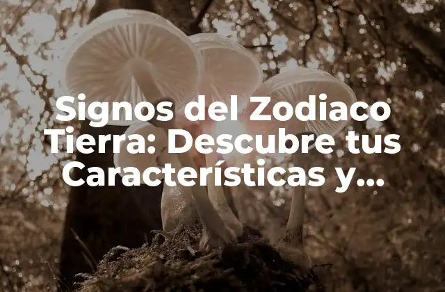 Signos Del Zodiaco Tierra: Descubre Tus Características y Rasgos