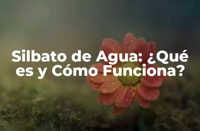 Silbato de Agua: ¿qué es y Cómo Funciona?