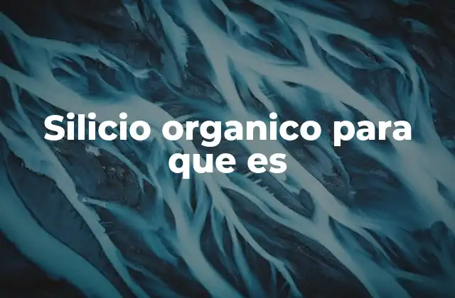 Silicio Organico para que es 2 El silicio orgánico en la industria moderna