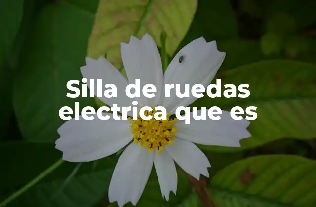 Silla de Ruedas Electrica que es 2 La evolución de los dispositivos de movilidad asistida