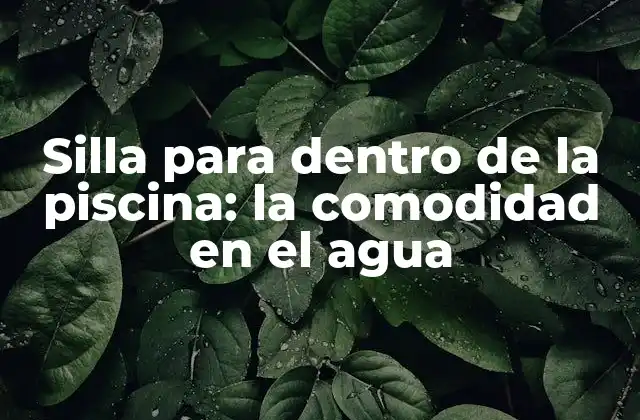 Silla para Dentro de la Piscina: la Comodidad en el Agua