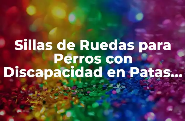 Sillas de Ruedas para Perros con Discapacidad en Patas Traseras – Soluciones de Movilidad