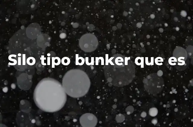 Silo Tipo Bunker que es