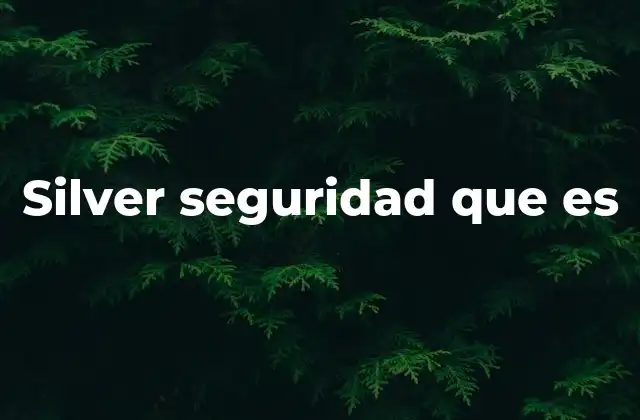 Silver Seguridad que es