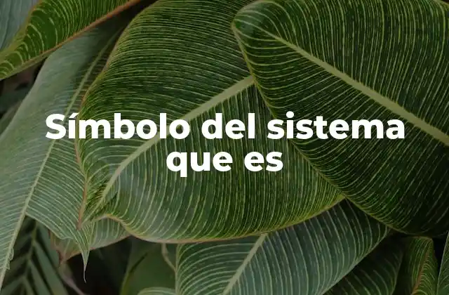 Símbolo Del Sistema que es