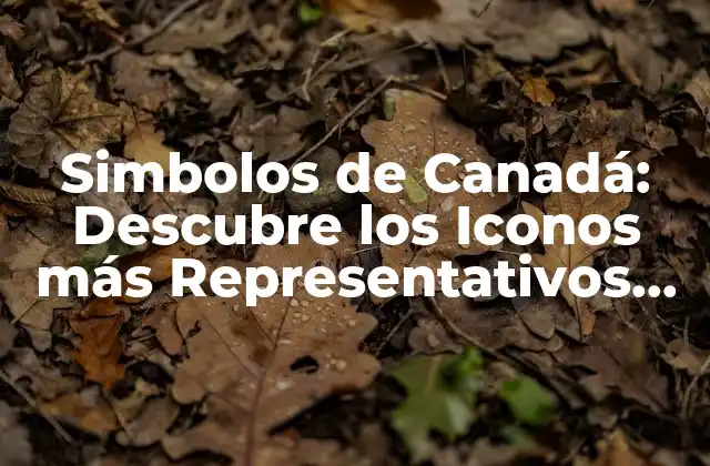Simbolos de Canadá: Descubre los Iconos Más Representativos Del País Del Norte
