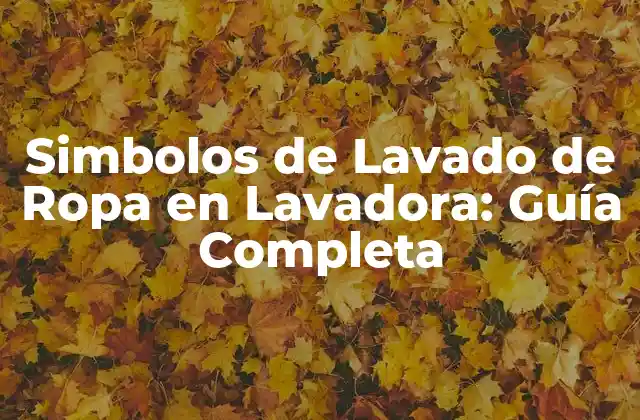 Simbolos de Lavado de Ropa en Lavadora: Guía Completa 2 ¿Qué son los Símbolos de Lavado de Ropa en Lavadora?