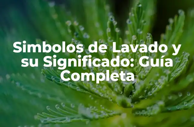 Simbolos de Lavado y Su Significado: Guía Completa