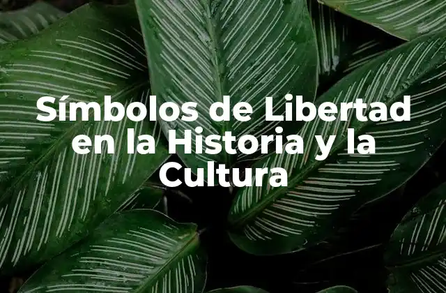 Símbolos de Libertad en la Historia y la Cultura