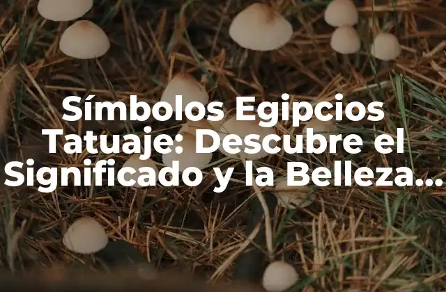 Símbolos Egipcios Tatuaje: Descubre el Significado y la Belleza de los Diseños Antiguos