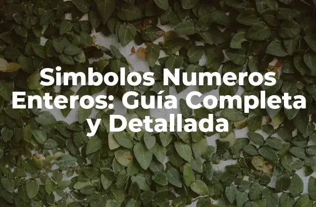 Simbolos Numeros Enteros: Guía Completa y Detallada