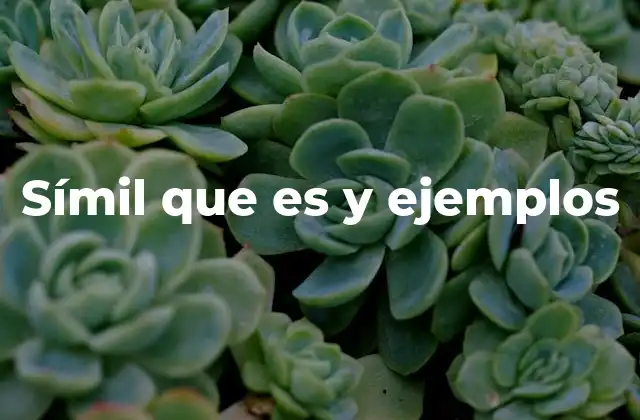 La importancia del símil en la comunicación efectiva